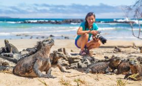 Tierfotografie: professionell Tiere fotografieren