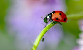 Perspektiven in der Fotografie: interessante Fotos machen!