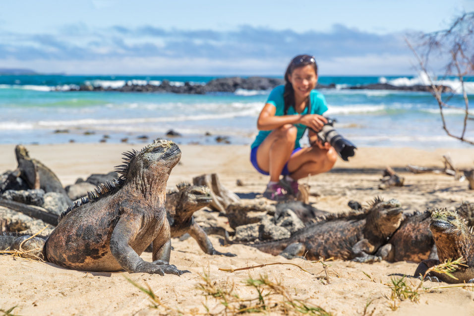 Frau am Strand fotografiert Echsen
