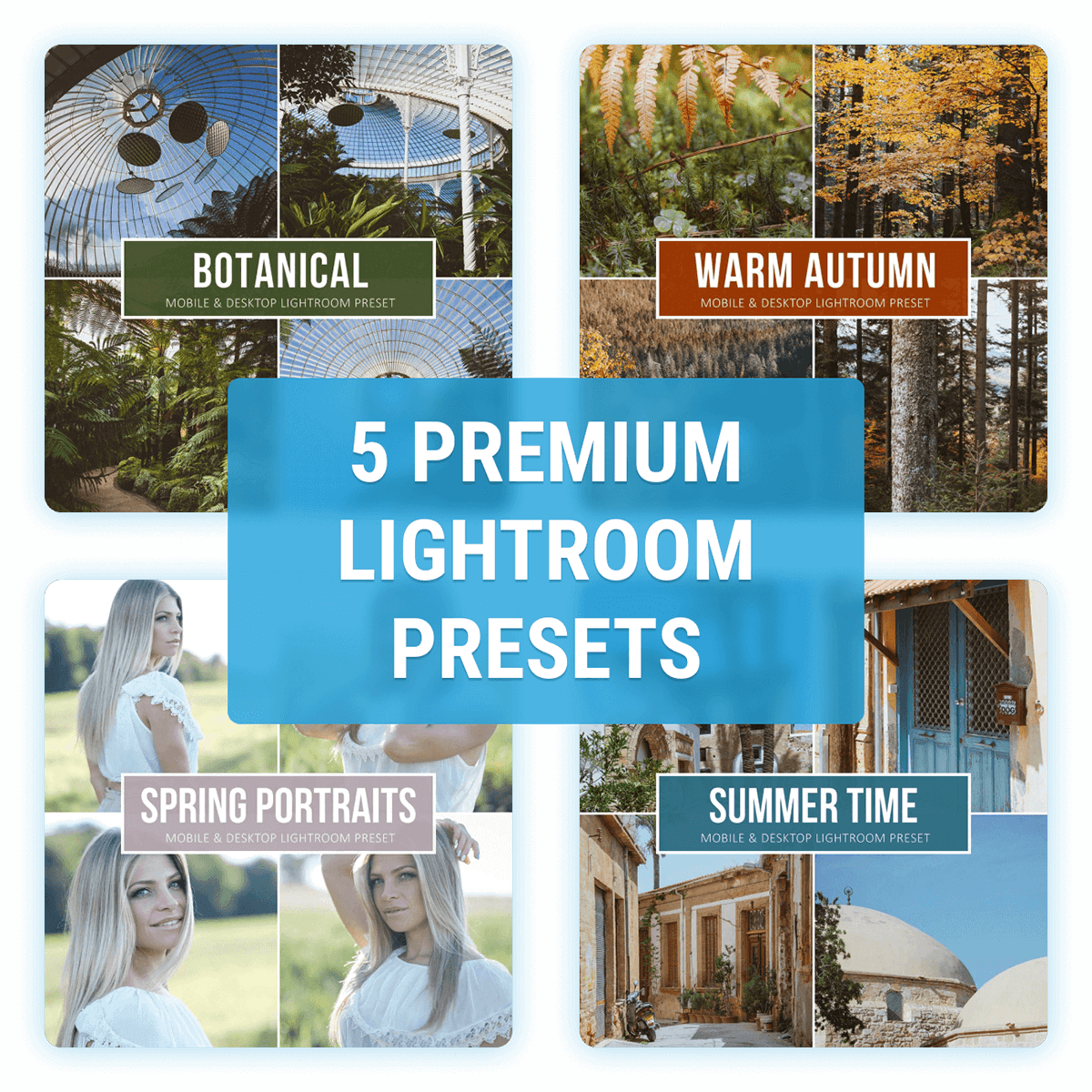 Premium Presets